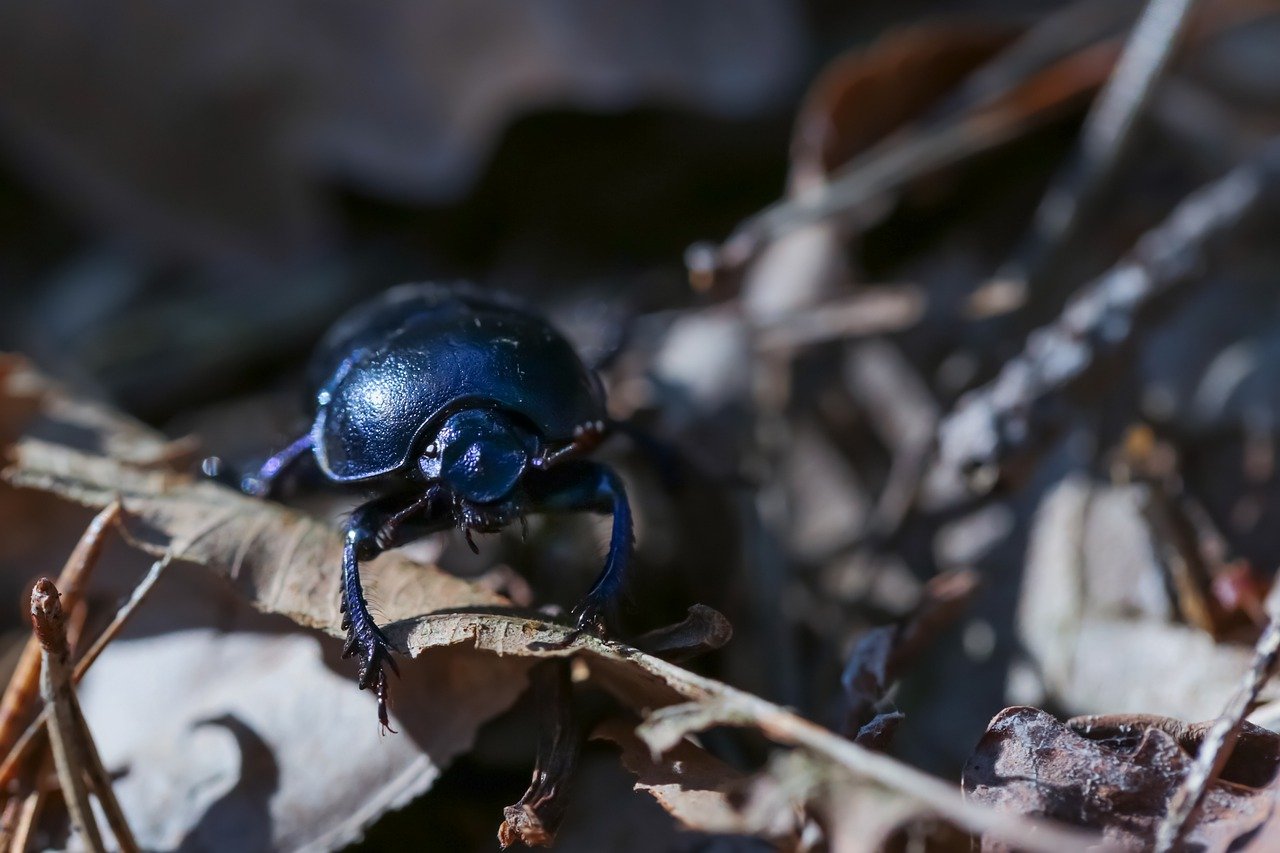 How Does Littering Affect the Environment?